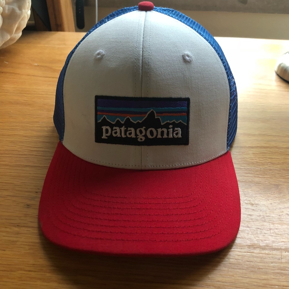 Patagonia Trucker Hat